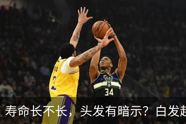 寿命长不长，头发有暗示？白发越少的人活得越久？真相来了